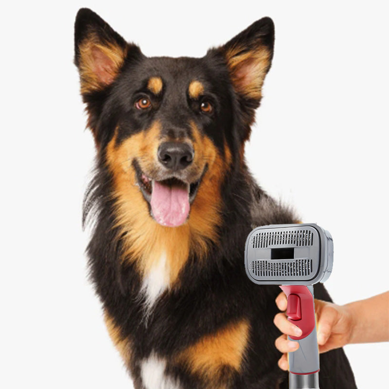 💖2025 Hot Sale💖 Automatic Pet Hair Grooming Vacuum Cleaner Kit