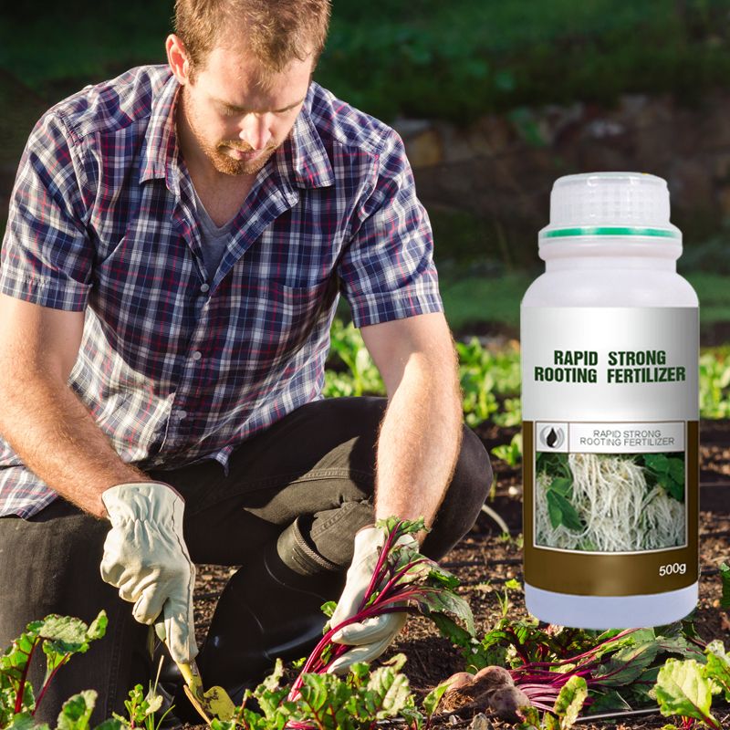 Rapid Strong Rooting Fertilizer