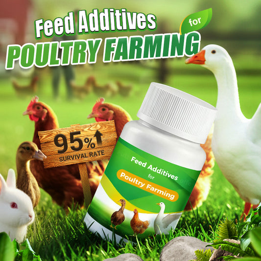 🔥Limited Hot Sale 50% OFF-💥Feed Additives for Poultry Farming