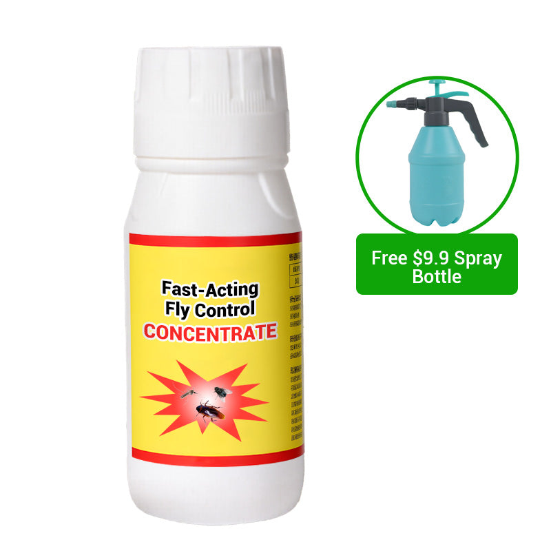 🔥 2025 Hot Sale 49% OFF🔥Universal High-Efficiency & Safe Fly Control Agent