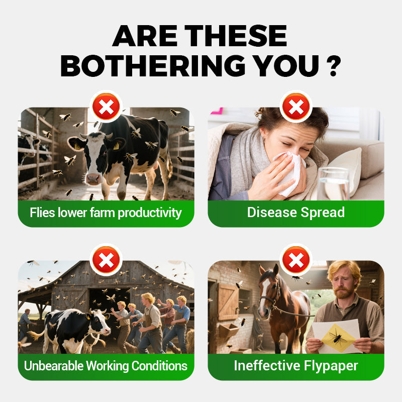 🔥 2025 Hot Sale 49% OFF🔥Universal High-Efficiency & Safe Fly Control Agent