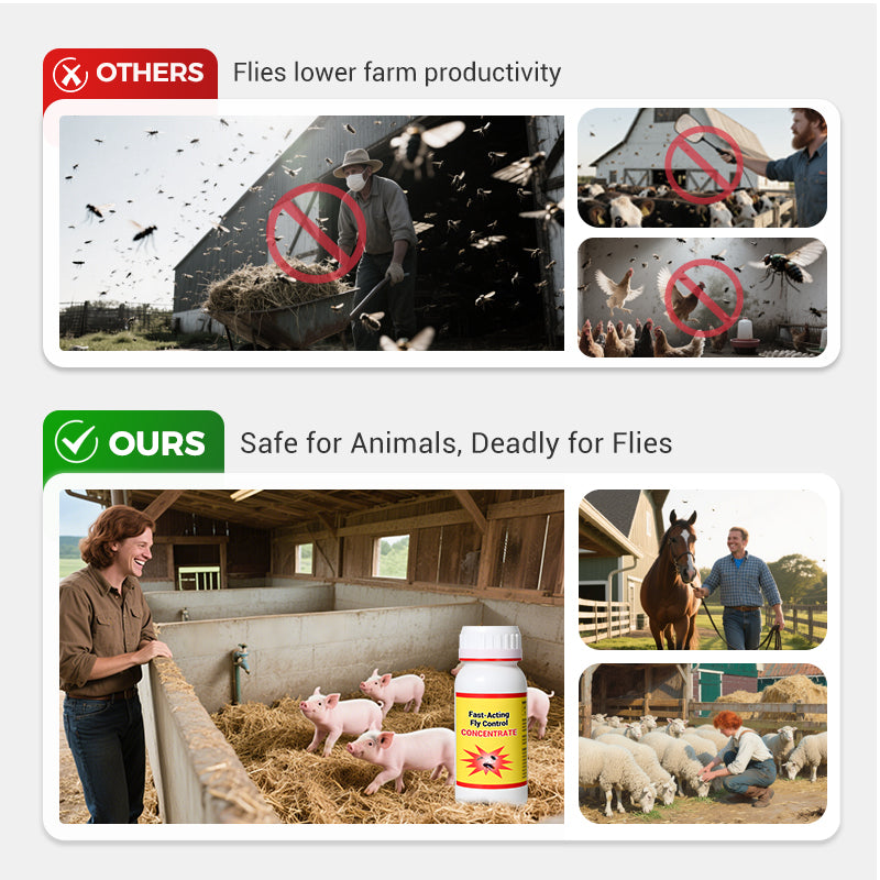 🔥 2025 Hot Sale 49% OFF🔥Universal High-Efficiency & Safe Fly Control Agent