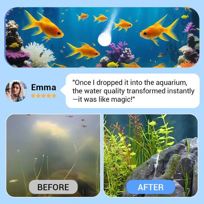 💥Hot sale 50% OFF♻️Powerful Aquarium Water Purification Tablet💧