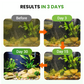 500g Premium Pond Care Powder | Water Clarifier & Algae Control 🐟🌊🔬