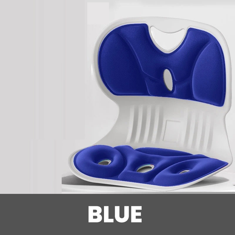 💯Ergonomic Memory Foam Back & Lumbar Support Cushion for Chair🎁