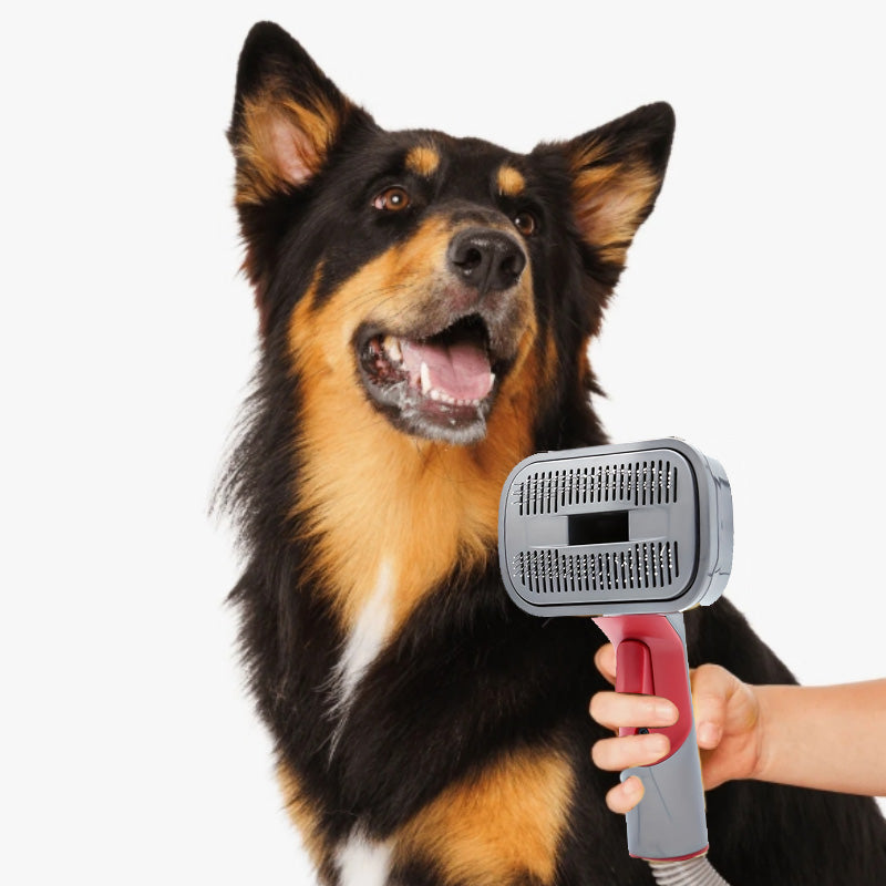 💖2025 Hot Sale💖 Automatic Pet Hair Grooming Vacuum Cleaner Kit