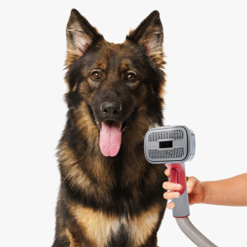 💖2025 Hot Sale💖 Automatic Pet Hair Grooming Vacuum Cleaner Kit