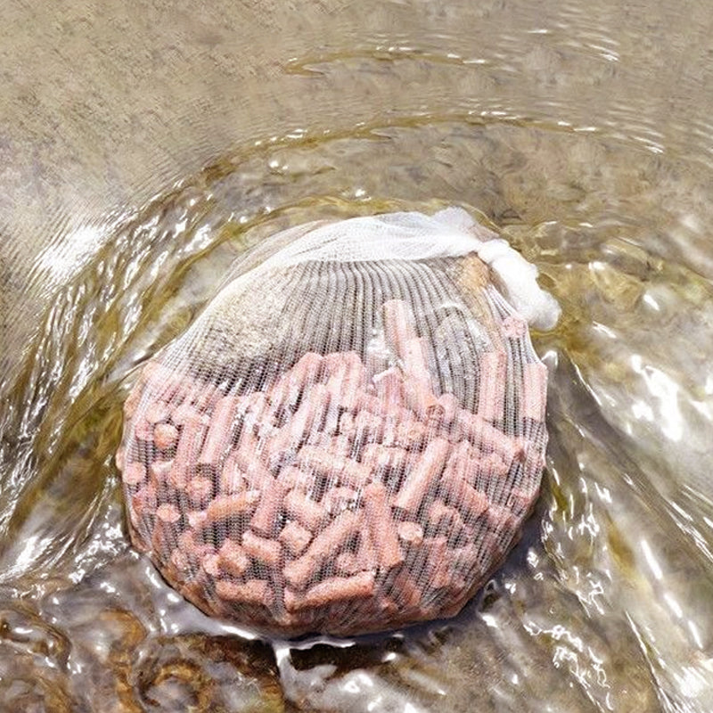 🔥2025 Hot Sale🔥Fishing Mesh Refill Bags for Solid Baits