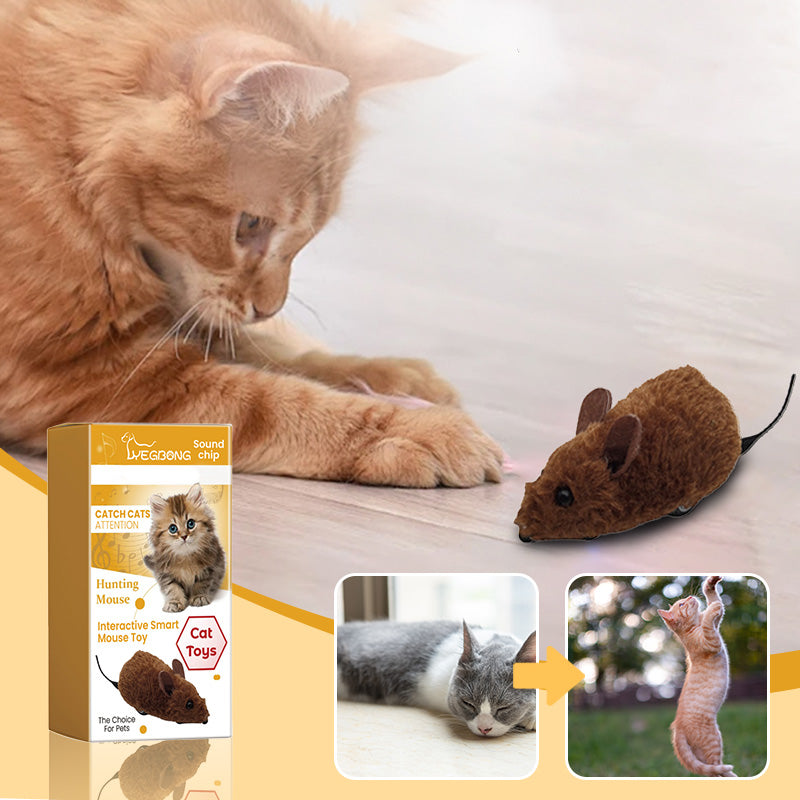🔥2025 Hot Sale 50% OFF🔥🐭Mouse toy for cats and dogs No🐁