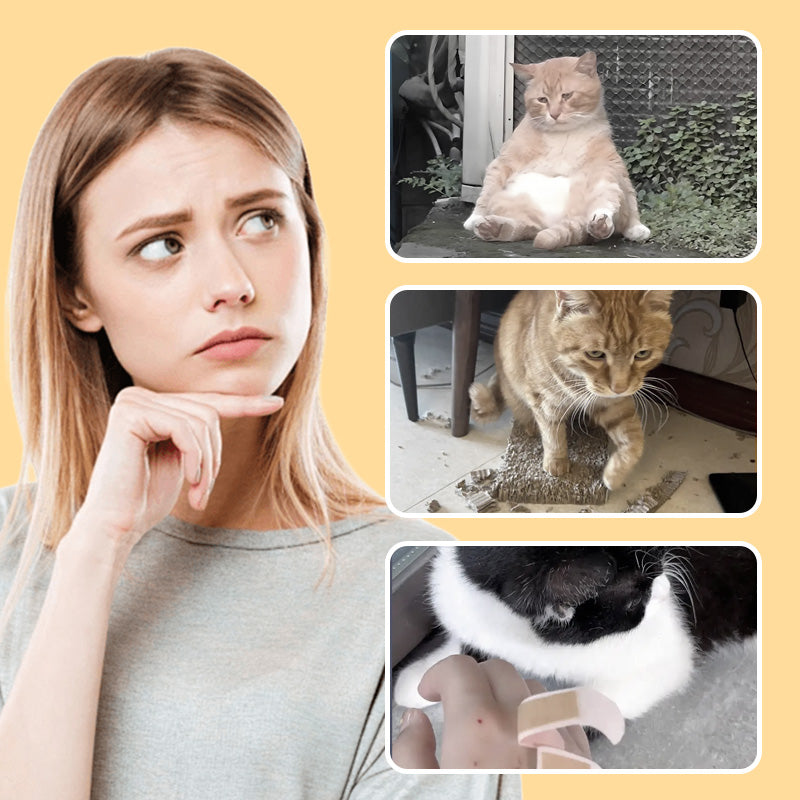 🔥2025 Hot Sale 50% OFF🔥🐭Mouse toy for cats and dogs No🐁