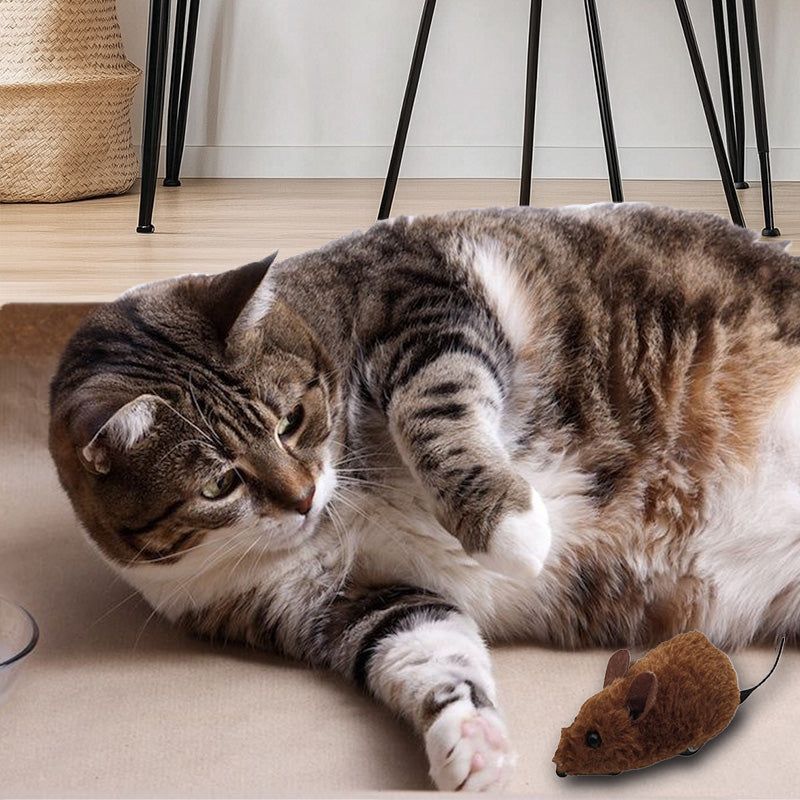 🔥2025 Hot Sale 50% OFF🔥🐭Mouse toy for cats and dogs No🐁