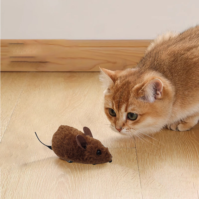 🔥2025 Hot Sale 50% OFF🔥🐭Mouse toy for cats and dogs No🐁