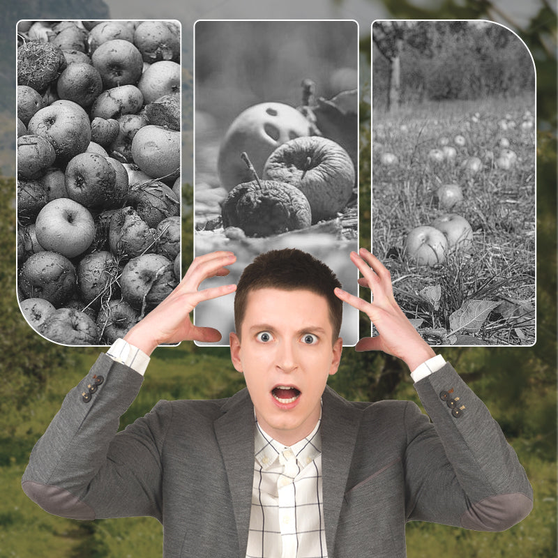 🔥Hot Sale🔥Nutrient Fluid for Flowering & Yield Boost