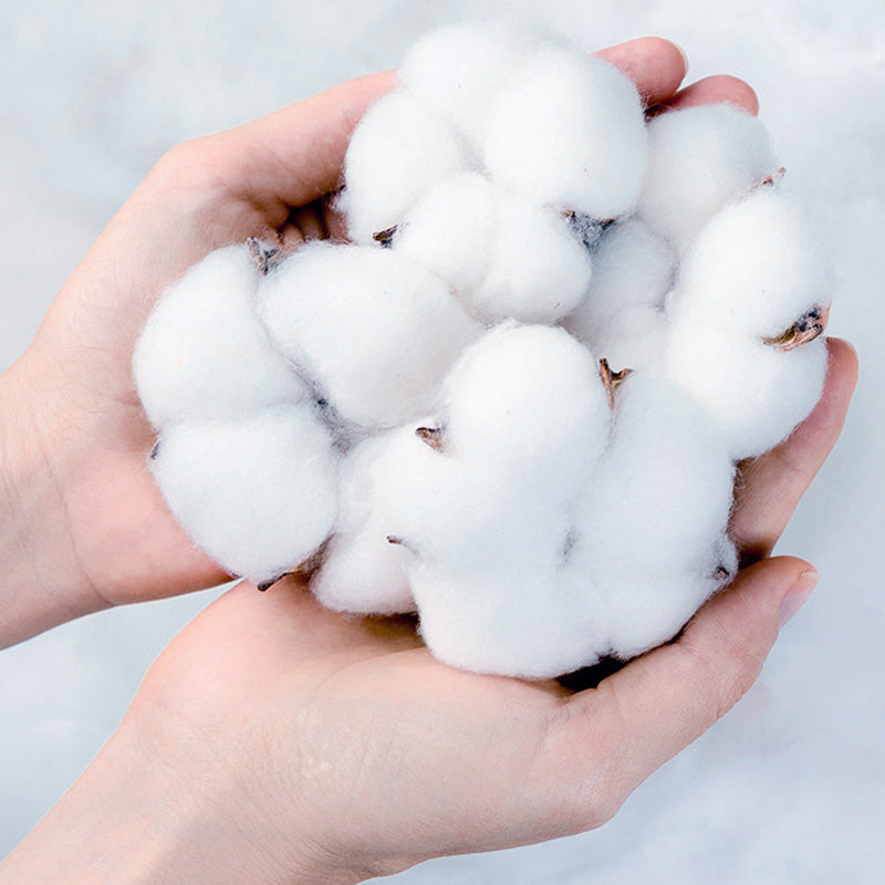 🔥2025 Hot Sale 50% OFF🔥Baby's Comfortable Cotton Breathable Training Pants