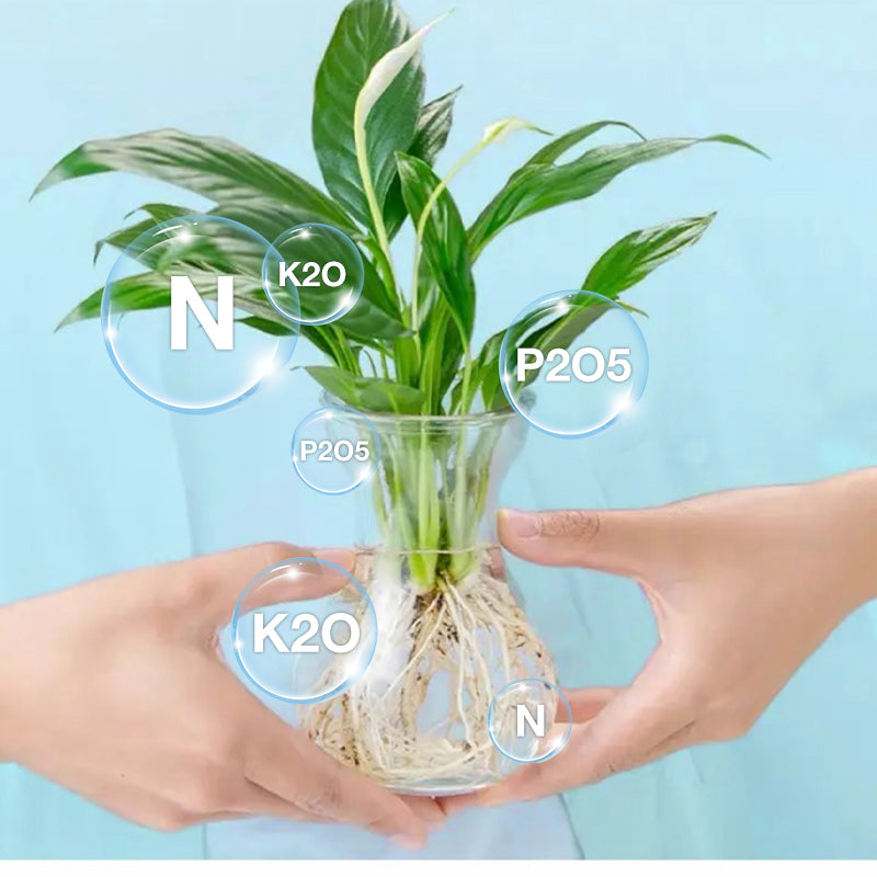 🔥Hot Sale 49% 0FF🔥Hydroponic Nutrient Solution For Plant Growth