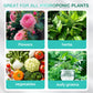 🔥 2025 Hot Sale 49% OFF🔥Hydroponic Nutrient Solution for Plant Growth