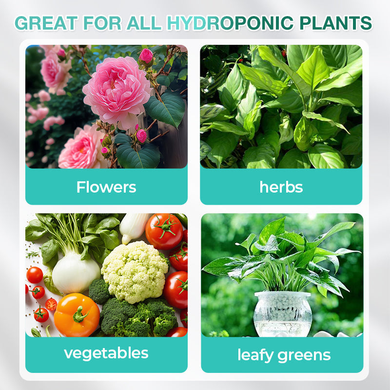 🔥Hot Sale 49% 0FF🔥Hydroponic Nutrient Solution For Plant Growth