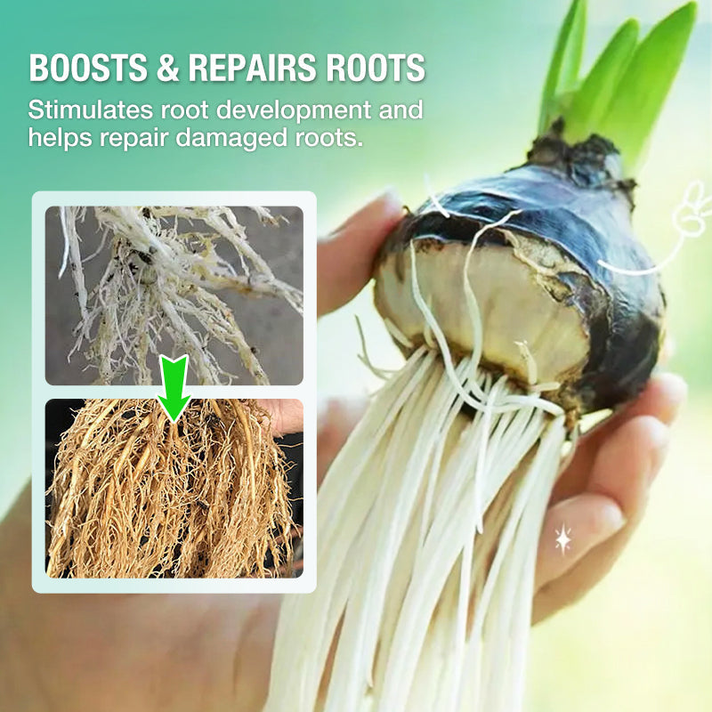 🔥Hot Sale 49% 0FF🔥Hydroponic Nutrient Solution For Plant Growth