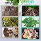 🔥 2025 Hot Sale 49% OFF🔥Hydroponic Nutrient Solution for Plant Growth