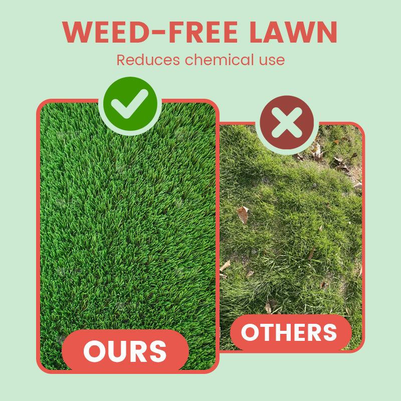 🔥Grass Seeds for Lawn and Golf Course