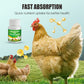 🔥Limited Hot Sale 50% OFF-💥Feed Additives for Poultry Farming