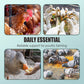 🔥Limited Hot Sale 50% OFF-💥Feed Additives for Poultry Farming