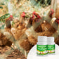 🔥Limited Hot Sale 50% OFF-💥Feed Additives for Poultry Farming