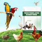 🔥200g Poultry Anti-Pecking Powder – Stop Feather Pulling & Cannibalism in Birds 🐔✨