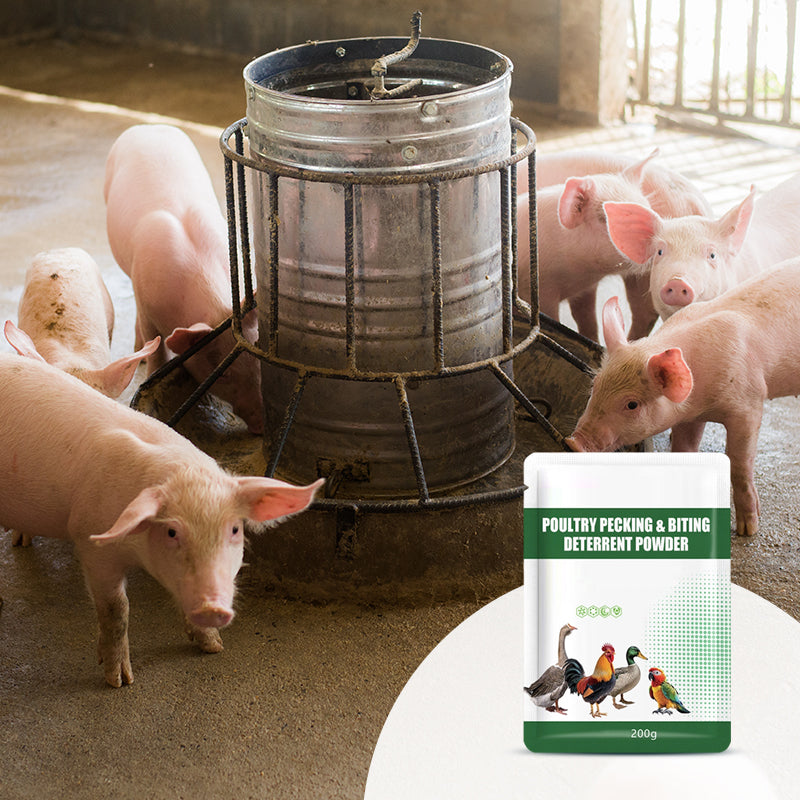 🔥200g Poultry Anti-Pecking Powder – Stop Feather Pulling & Cannibalism in Birds 🐔✨