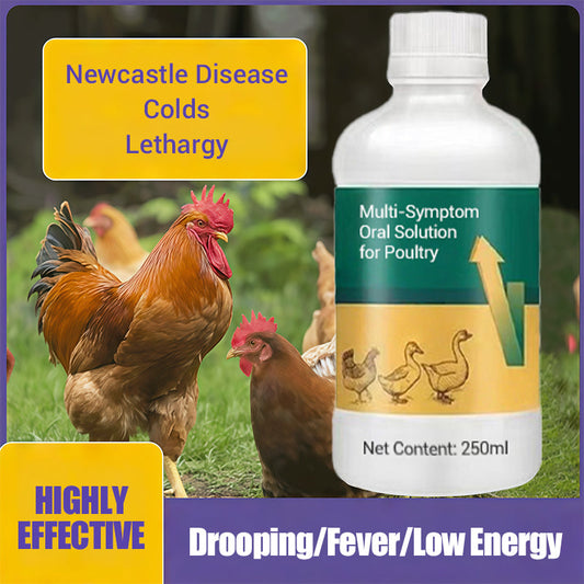 🐓Poultry Multi-Symptom Oral Solution – Treats Respiratory, Digestive & Immune Issues in One Dose!🐔💦