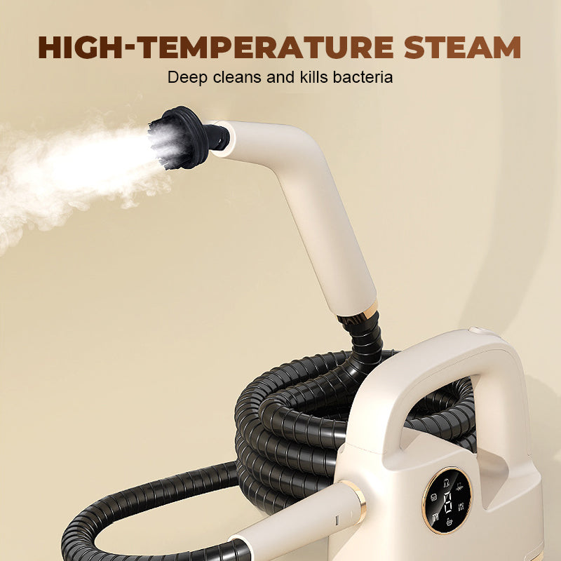 Portable High-Temperature Steam Cleaner Set