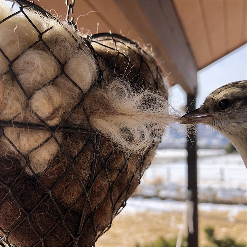 🔥Limited-Time Offer: 50% OFF!!!🔥Handmade Bird Nesting Heart