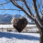 🔥Limited-Time Offer: 50% OFF!!!🔥Handmade Bird Nesting Heart