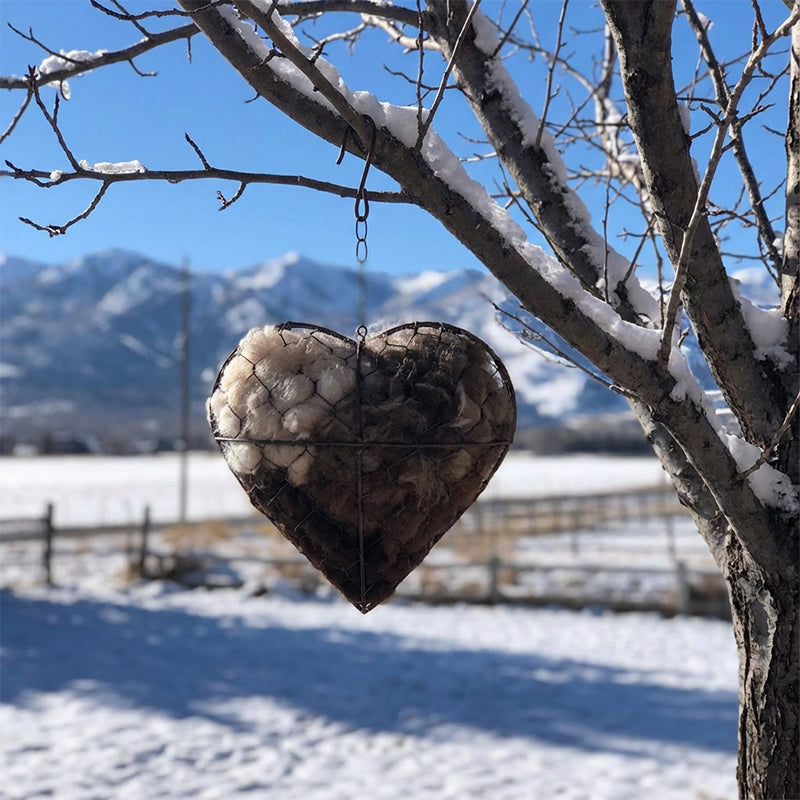 🔥Limited-Time Offer: 50% OFF!!!🔥Handmade Bird Nesting Heart