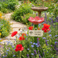 ⏳Limited-time 50% off🐝Flower-Shaped Bee Watering Station💧