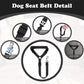 🔥New Hot Selling❤️‍🔥 2-in-1 Dog Car Seat Belt & Walking Leash