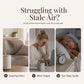 🧵 LIMITED TIME 50% OFF!12-Pack Water Soluble Essential Oils Set