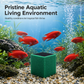 🥳2026 HOT SALE🐠💧 50% OFF! Activated Carbon Filter Cube – honeycomb filtration clears cloudy water, removes odors. Anti-crumble block for crystal-clear aquarium! 🛡️✅